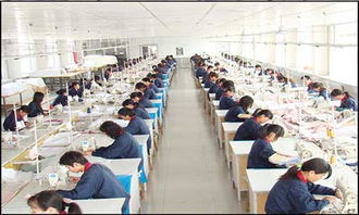 上海春暉旅游用品廠 一站式旅游用品與信息咨詢(xún)解決方案